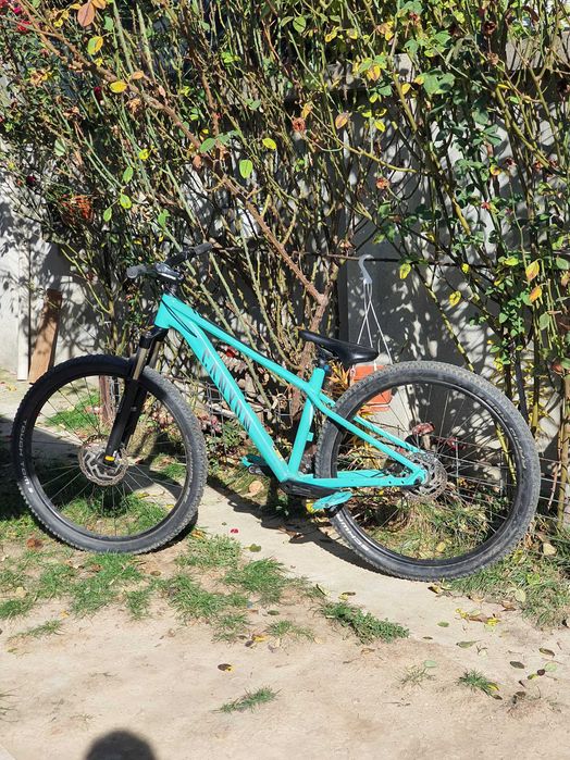 Canyon Grand Canyon Al