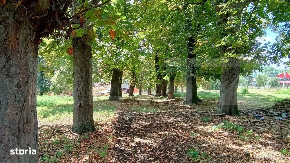 Cabana cu teren intravilan 18.449 mp – Paingeni | 7,5 €/mp | Veder