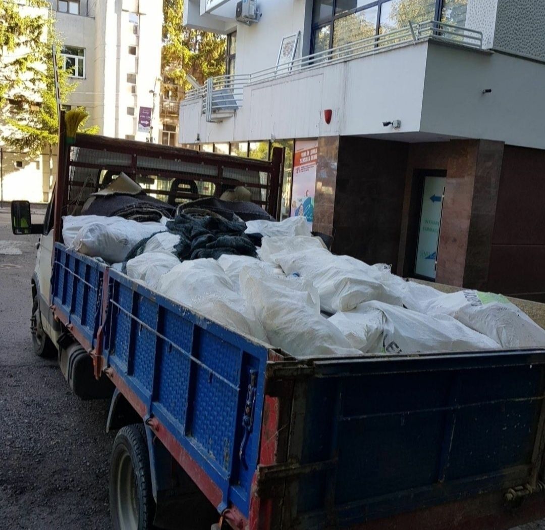 Servicii Demolari/ Debarasari moloz/moluz/Eliberări curți/ grădini