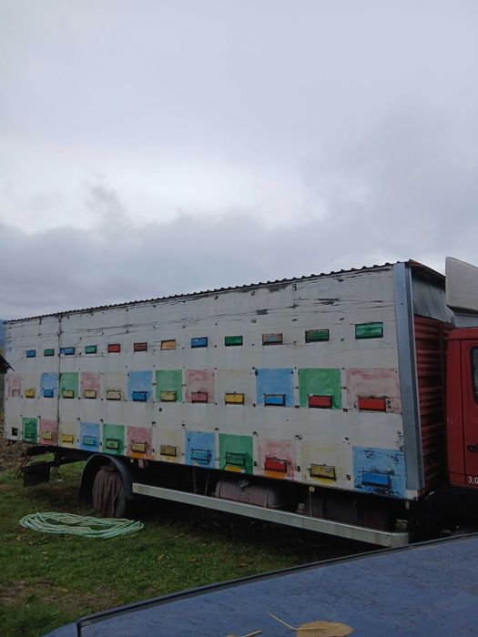 Camion Apicol de vânzare