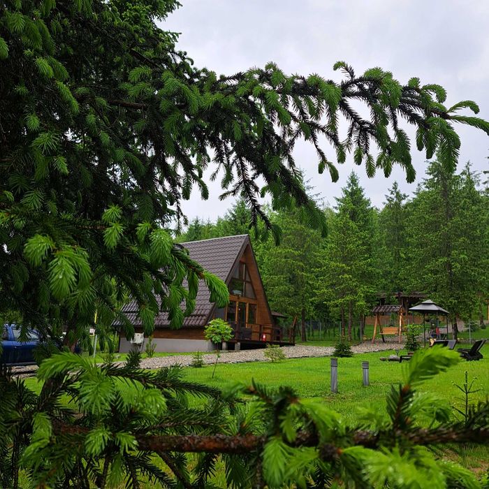 Cabana Armonia Naturii – poveste scrisă în lemn și liniște pentru tine