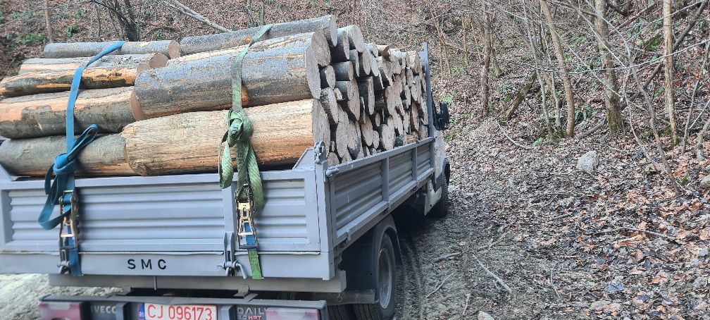 Vând lemne de foc esență tare 300 m ster