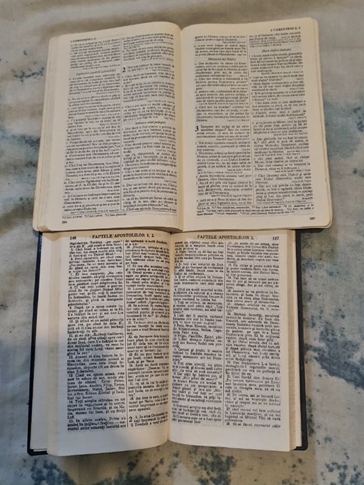 Biblia : Noul Testament