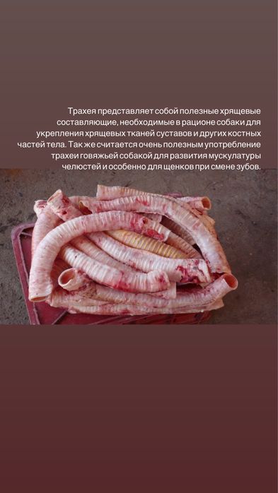 Продам   корм для собак
