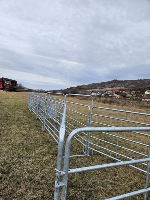 Porti contentie bovine tip koral