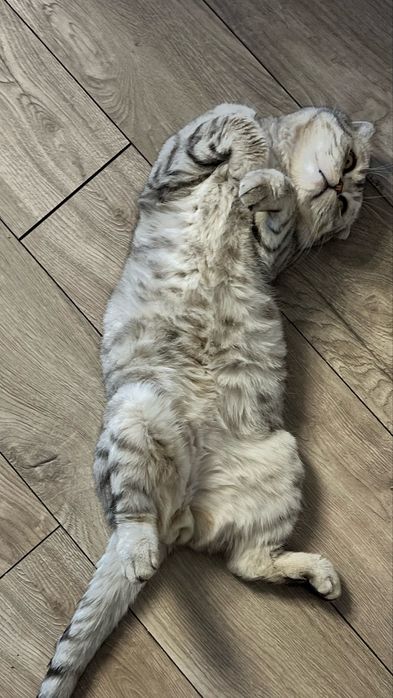 В самую заботливую семью!