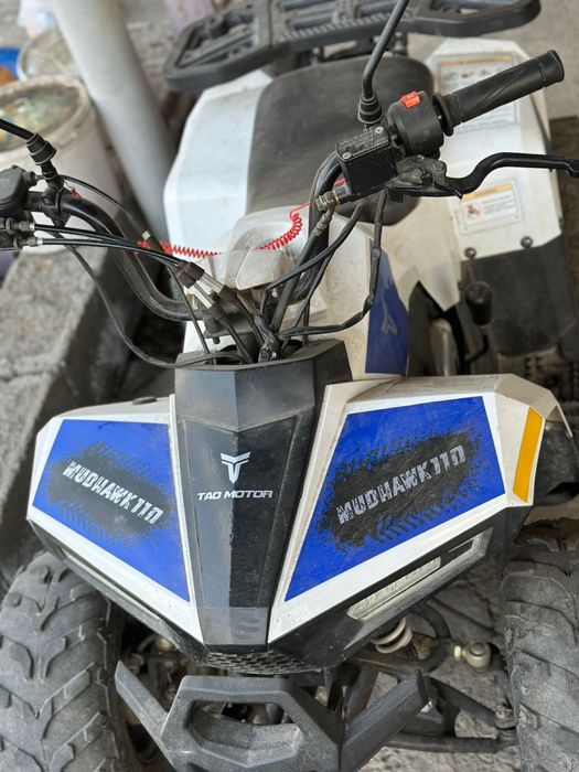 квадроцикл 110cc (Tao Motor Mudhawk).