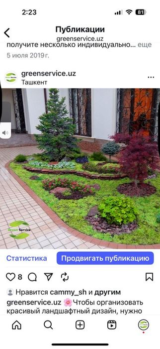 Рулонные газоны качественно.