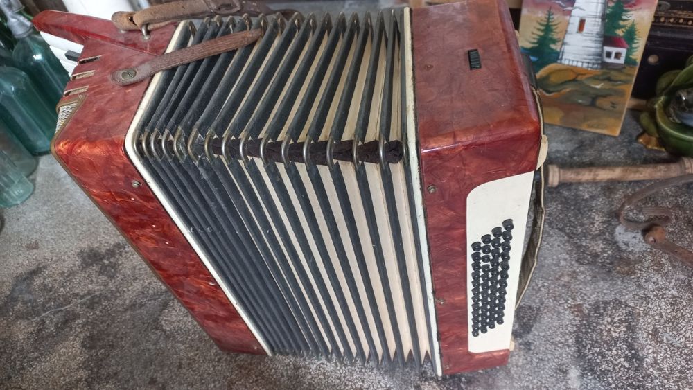 Acordeon romanesc Timis