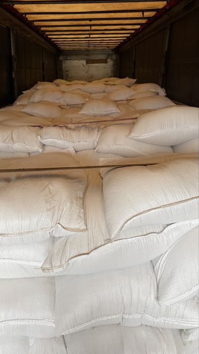 Tarate de grau - 20 kg