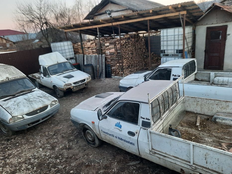 Dezmenbrez mașini dacia papuc