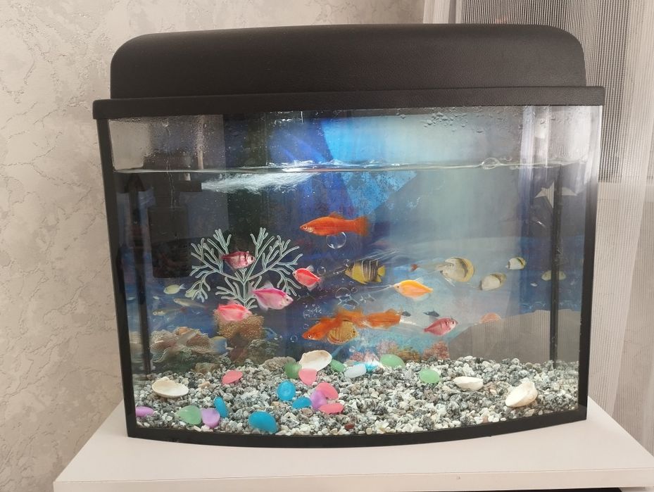 Аквариум сатылады!