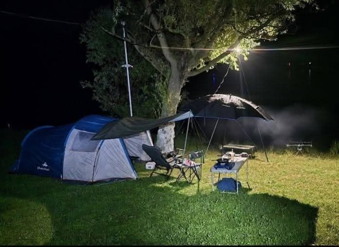 Cort Arpenaz Family 4