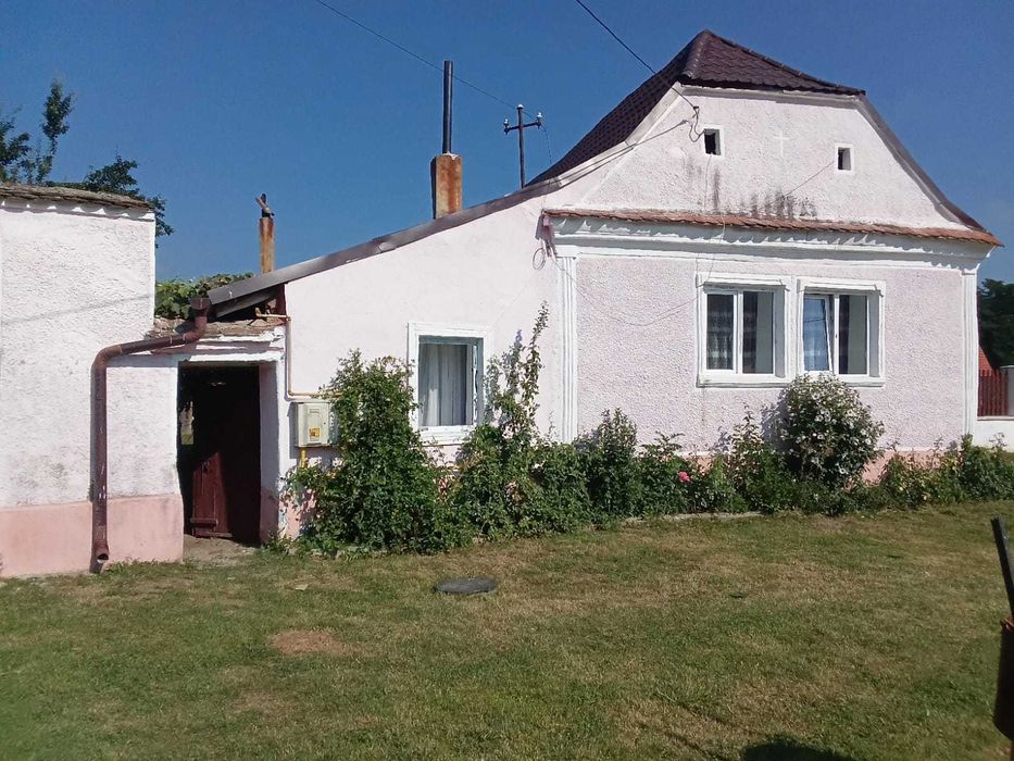 Casa de vanzare cu curte,gradina 2500mp