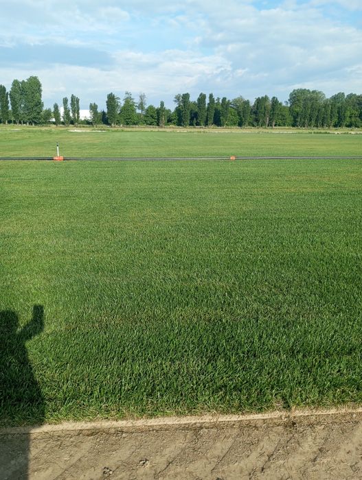 Gazon Rulou și sistem de irigare