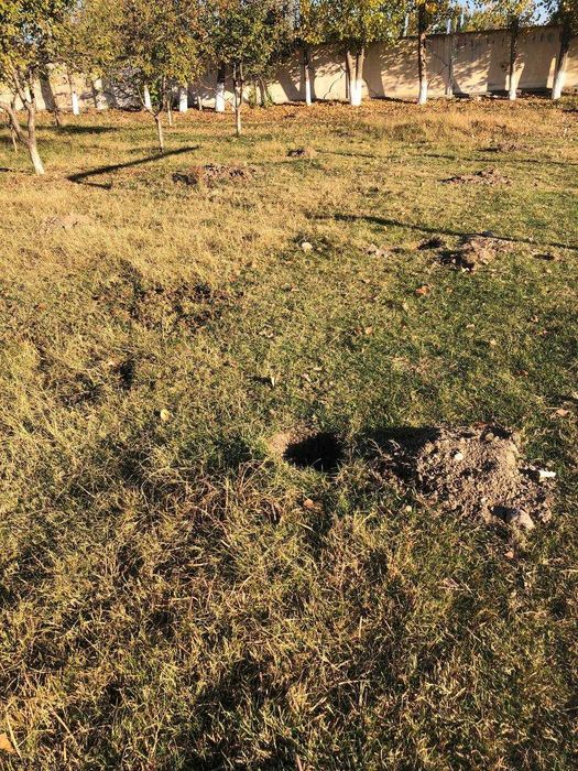 Янги Тошкентдан бўш ер сотилади