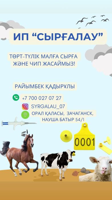 ИП ''СЫРҒАЛАУ'' Төрт түлік малға бирка және чип жасаймын!
