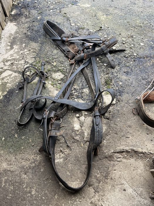 Vand ham cu toate accesoriile