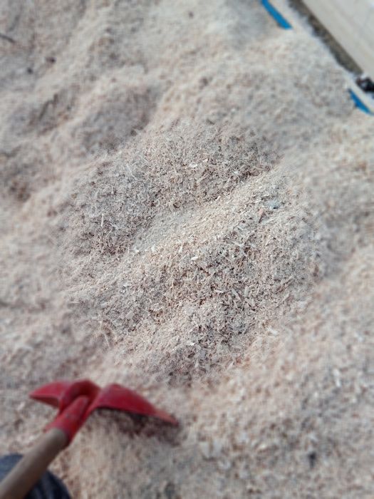 Vănd rumeguș de brad ,fag