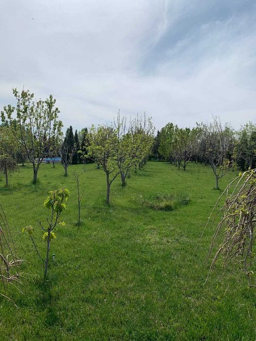 Продам Дачу с участком 40 соток посёлок Думалак
