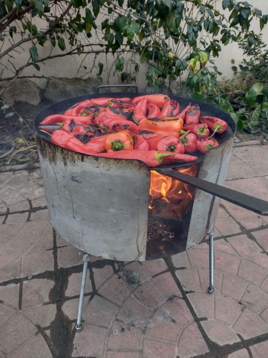 Combina gătit afară. Disc, paravânt, suport ceaun, tigaie-grătar.