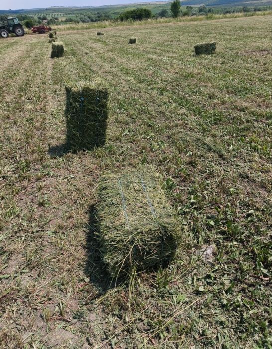 Baloti de lucerna calitate si greutate Fb cu transport la domiciliu!