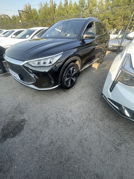 Song plus gybrid 2024