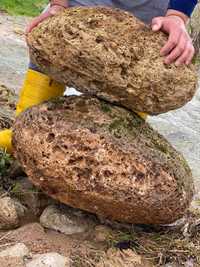 Камъни бигор 1,20лв на кг