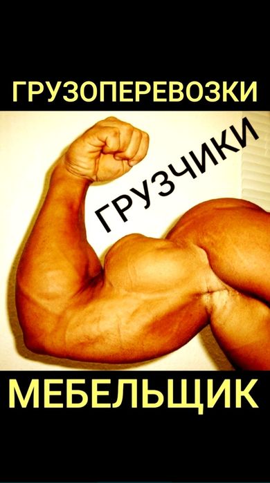 Грузчики не дорого услуги грузчиков