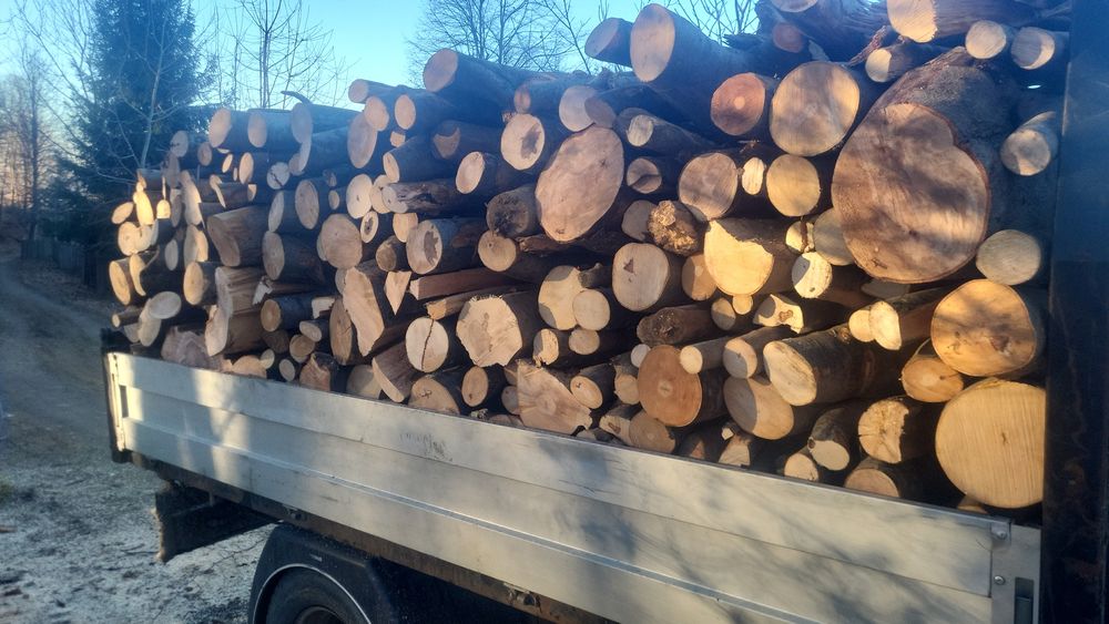 Vând lemne foc esență fag