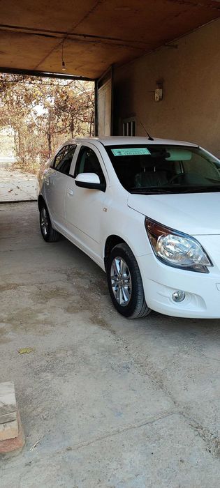 Cobalt MCM Yangi Срочна