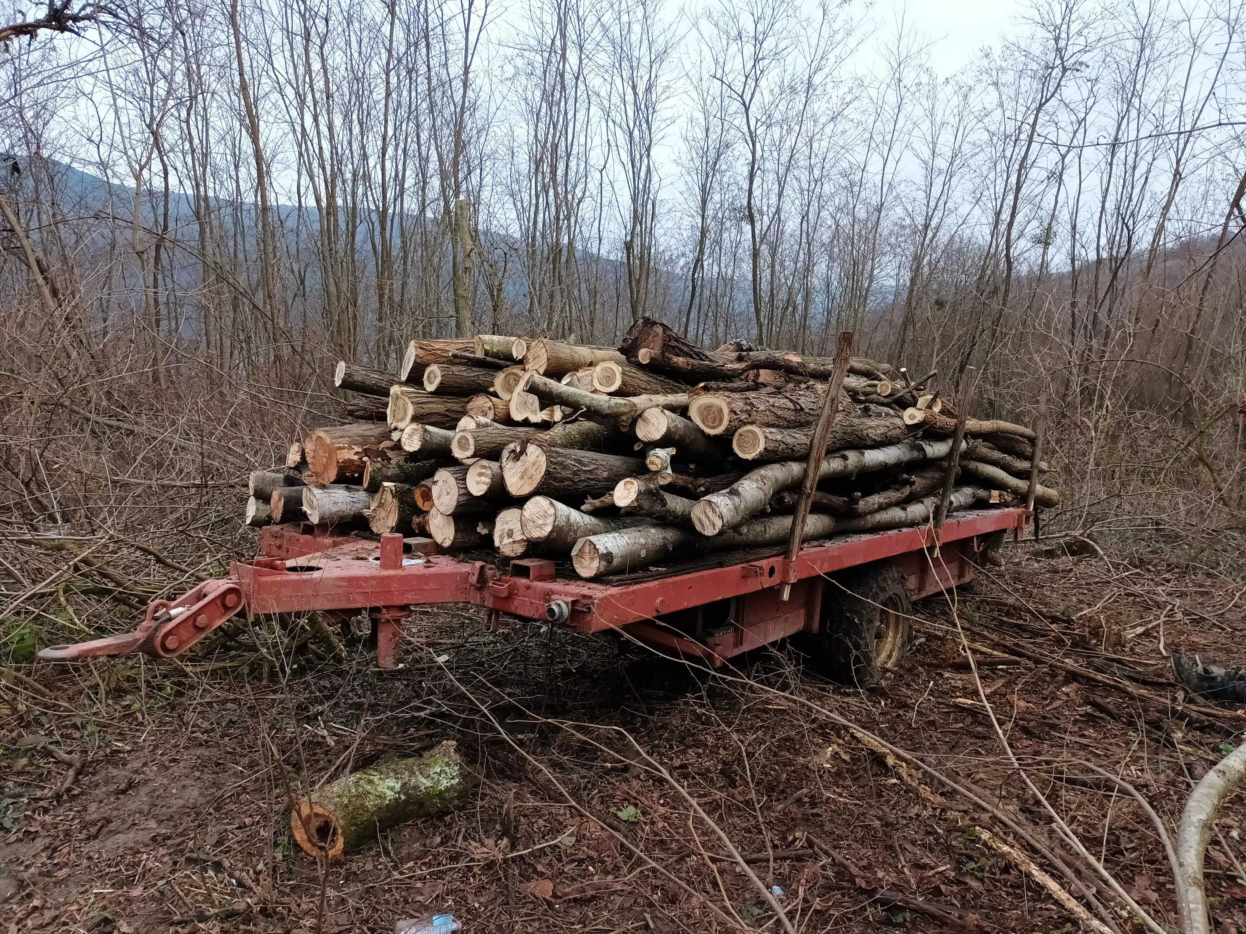 Lemne de foc cu transport la domiciliu .