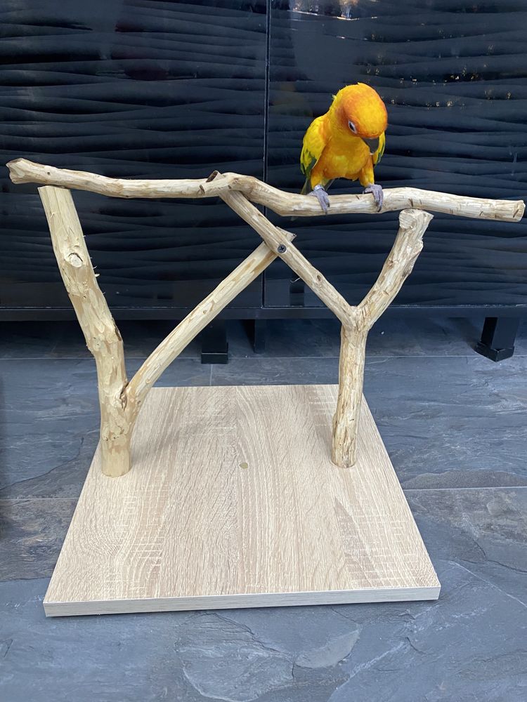 Дървена кацалка за папагал