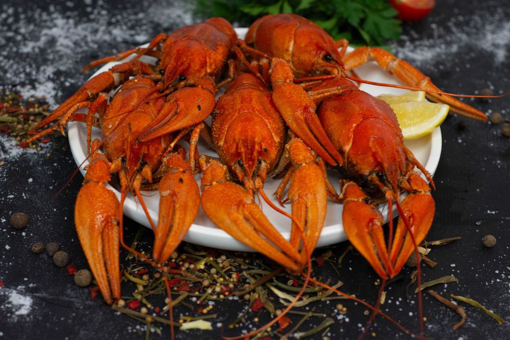 Раки живые и вареные