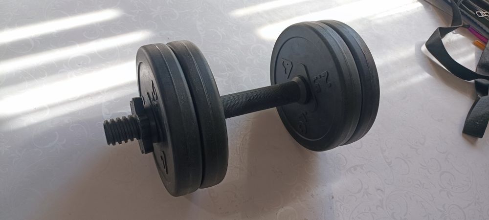 Гантеля 11 кг, разборная Торнео Спортмастер