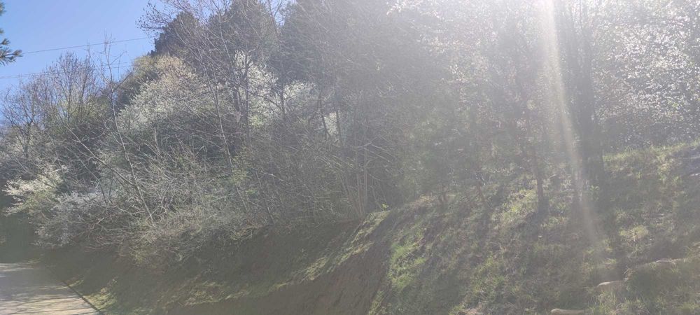 Продава се Парцел в София, Бояна - 18000 кв.м за 5 €/кв.м - Снимка #16