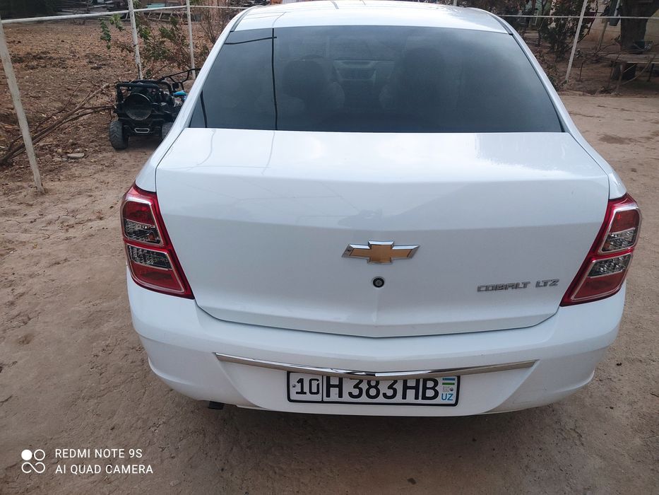 2024 каболит сотиладии