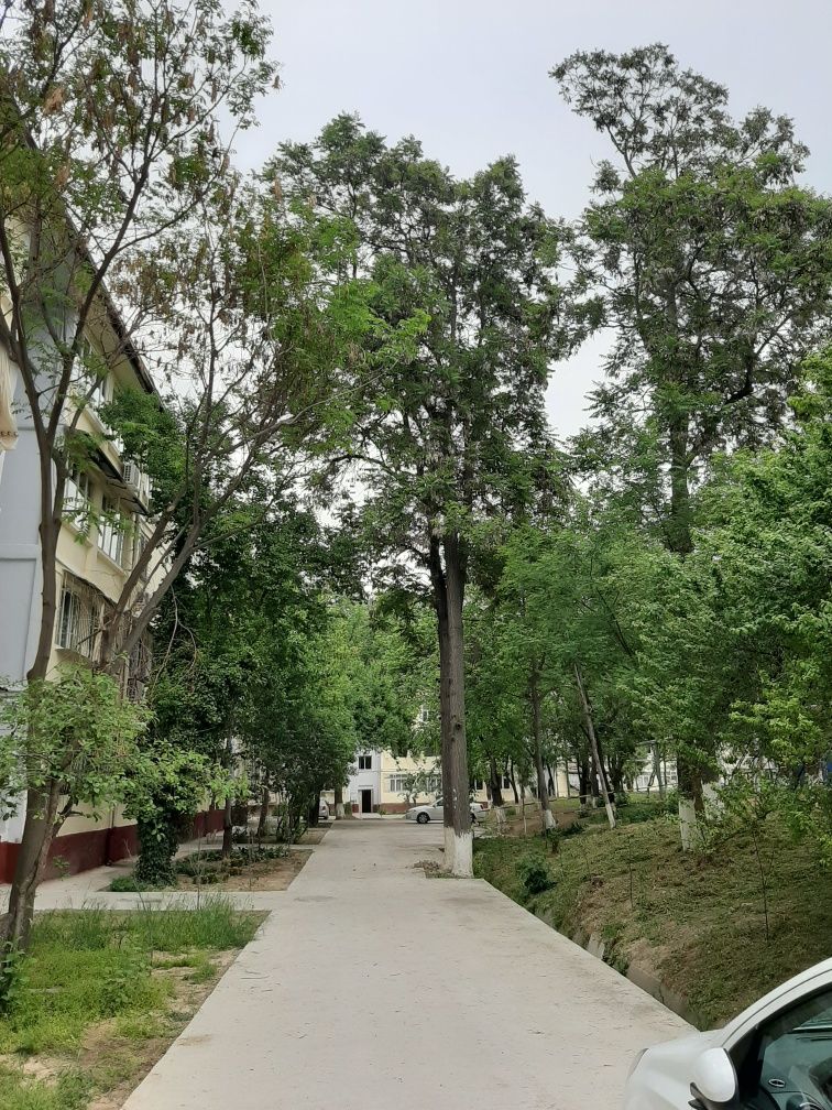 СРОЧНО!!! Аренда 2/4/4 ЭКОБАЗАР
