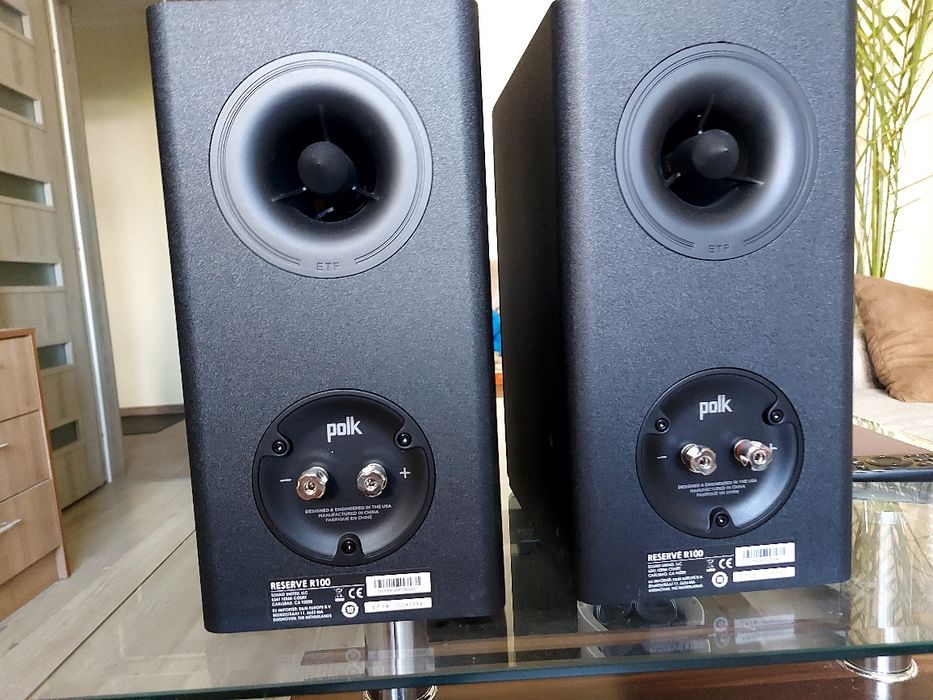Тонколони Polk Reserve R100