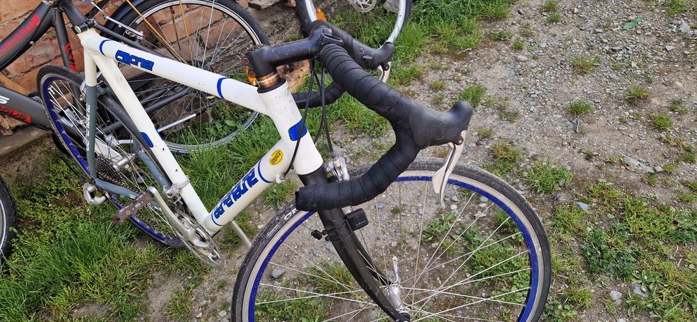 Bicicleta cursiera adrenaline