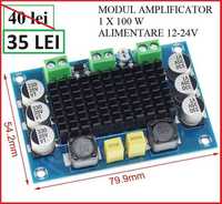 Modul amplificare 1 x 100 w