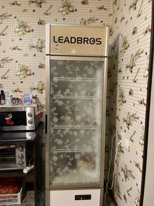 Витражный холодильник за 50К