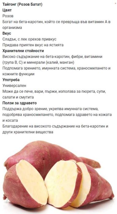 Разсад Батати и гурме картофи  Органично отглеждани.