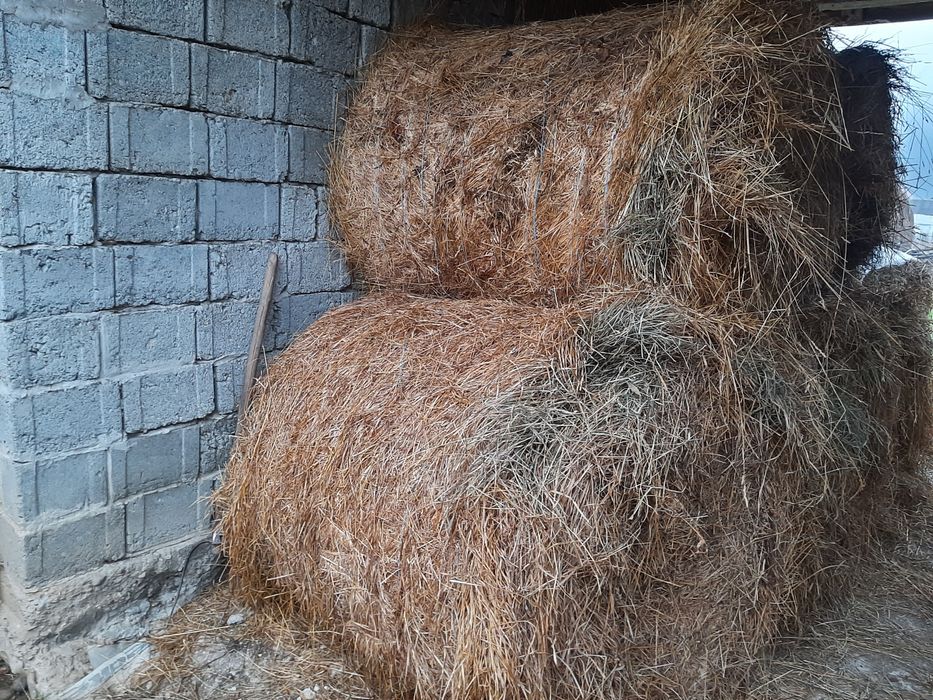 Baloti de fan si otava