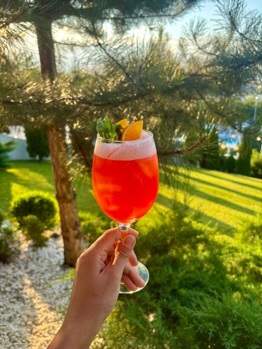 Cocktail bar | Bar Mobil | Tort de Shoturi | Lemonade Bar