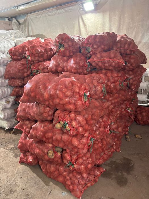 Продам картофель