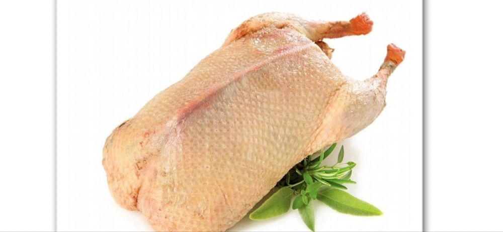 Мясо гуся оптом продам