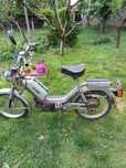 Motoretã Java Babeta