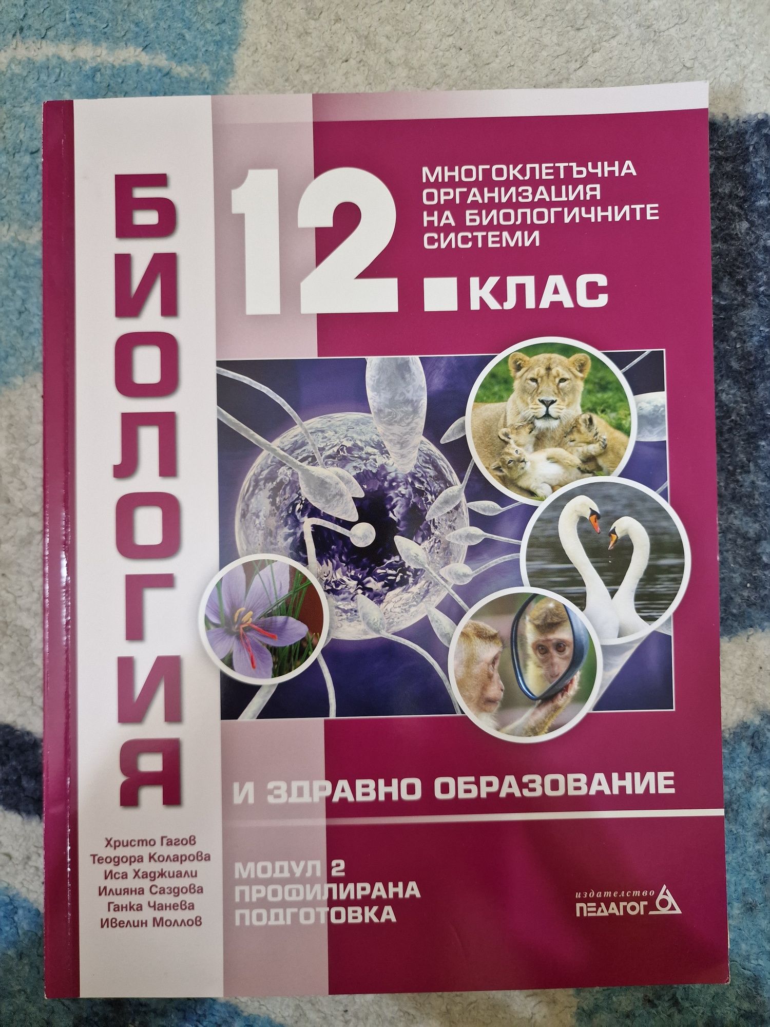 Учебници по Биология Профилирана подготовка от 11ти до 12ти клас