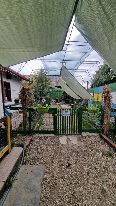 Casă de vânzare, teren 2450 mp Cefa Bihor